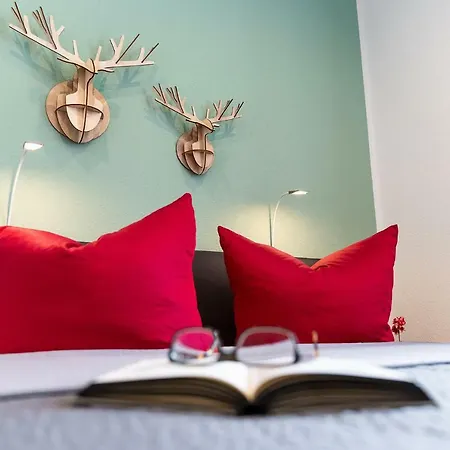 Friedrichring アパート *